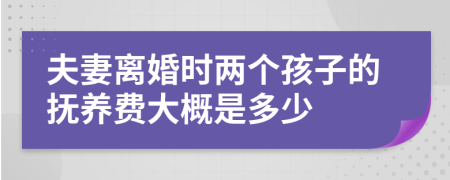 夫妻离婚时两个孩子的抚养费大概是多少