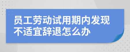 员工劳动试用期内发现不适宜辞退怎么办
