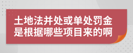 土地法并处或单处罚金是根据哪些项目来的啊