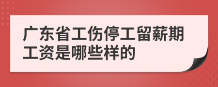 广东省工伤停工留薪期工资是哪些样的