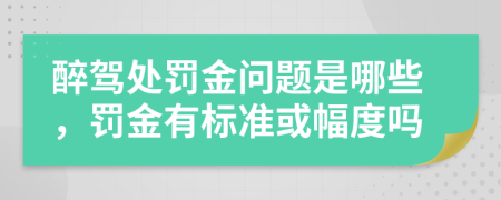 醉驾处罚金问题是哪些，罚金有标准或幅度吗