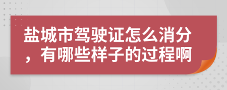 盐城市驾驶证怎么消分，有哪些样子的过程啊