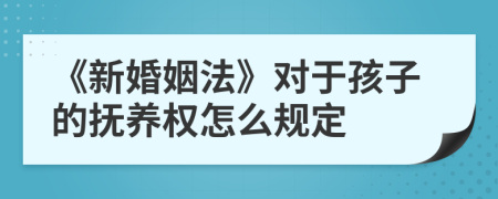 《新婚姻法》对于孩子的抚养权怎么规定