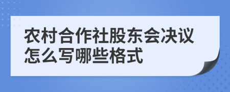 农村合作社股东会决议怎么写哪些格式