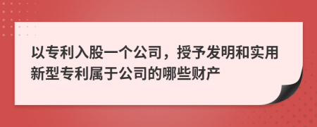 以专利入股一个公司，授予发明和实用新型专利属于公司的哪些财产