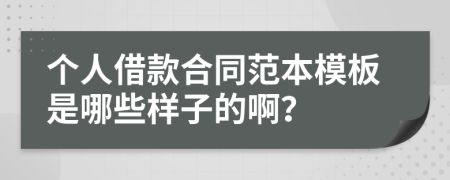 个人借款合同范本模板是哪些样子的啊？