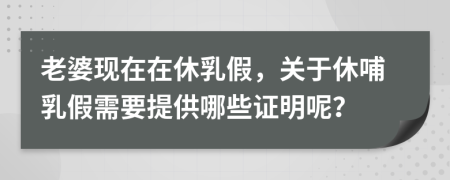 老婆现在在休乳假，关于休哺乳假需要提供哪些证明呢？