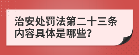 治安处罚法第二十三条内容具体是哪些？