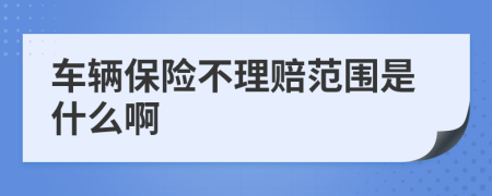 车辆保险不理赔范围是什么啊