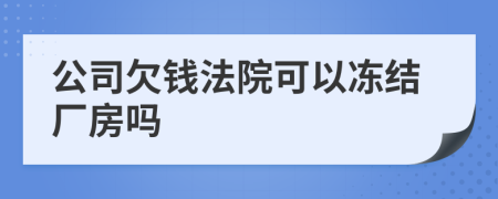 公司欠钱法院可以冻结厂房吗