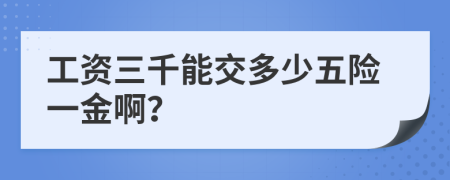 工资三千能交多少五险一金啊？