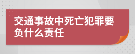 交通事故中死亡犯罪要负什么责任