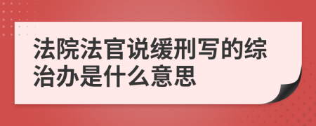 法院法官说缓刑写的综治办是什么意思