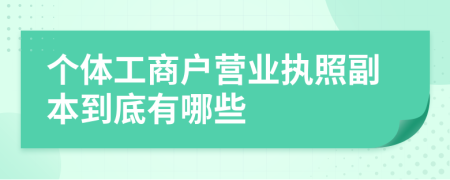 个体工商户营业执照副本到底有哪些