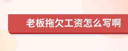 老板拖欠工资怎么写啊