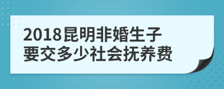 2018昆明非婚生子要交多少社会抚养费