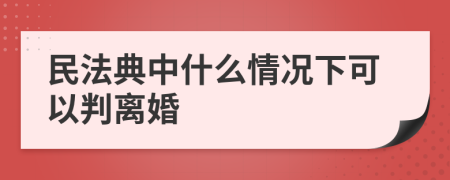 民法典中什么情况下可以判离婚