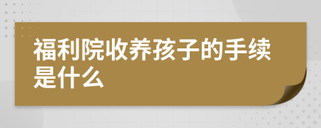 福利院收养孩子的手续是什么