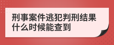 刑事案件逃犯判刑结果什么时候能查到