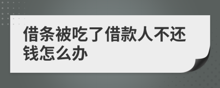 借条被吃了借款人不还钱怎么办