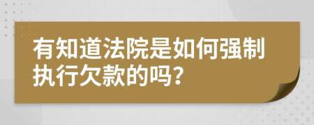 有知道法院是如何强制执行欠款的吗？