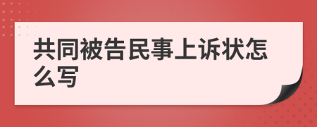 共同被告民事上诉状怎么写