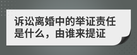 诉讼离婚中的举证责任是什么，由谁来提证