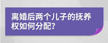 离婚后两个儿子的抚养权如何分配？