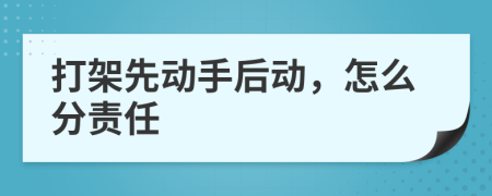 打架先动手后动，怎么分责任