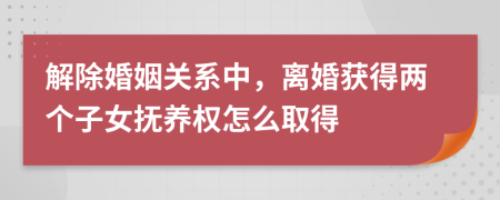 解除婚姻关系中，离婚获得两个子女抚养权怎么取得