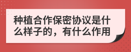 种植合作保密协议是什么样子的，有什么作用