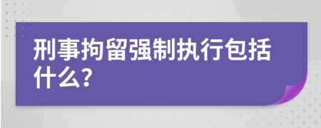 刑事拘留强制执行包括什么？