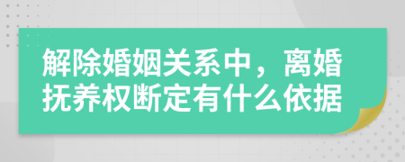 解除婚姻关系中，离婚抚养权断定有什么依据