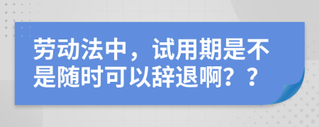劳动法中，试用期是不是随时可以辞退啊？？