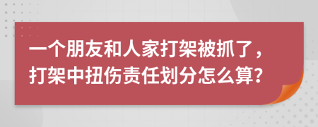 一个朋友和人家打架被抓了，打架中扭伤责任划分怎么算？