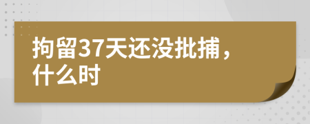 拘留37天还没批捕，什么时