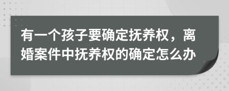 有一个孩子要确定抚养权，离婚案件中抚养权的确定怎么办