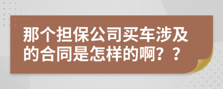 那个担保公司买车涉及的合同是怎样的啊？？