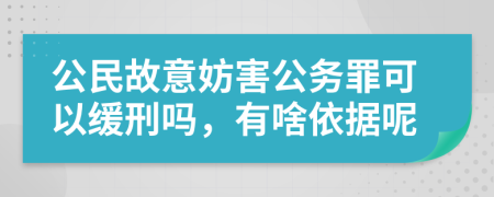 公民故意妨害公务罪可以缓刑吗，有啥依据呢