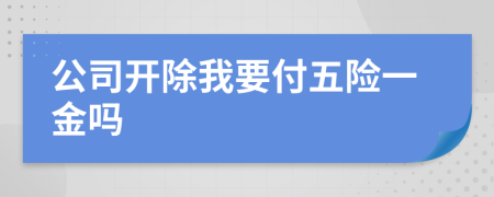 公司开除我要付五险一金吗