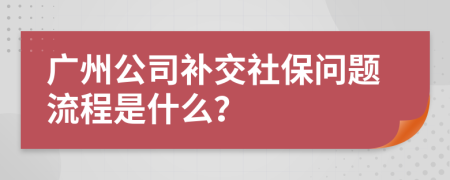 广州公司补交社保问题流程是什么？
