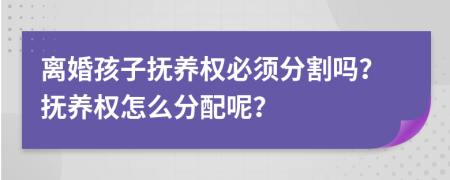 离婚孩子抚养权必须分割吗？抚养权怎么分配呢？