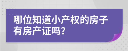 哪位知道小产权的房子有房产证吗？