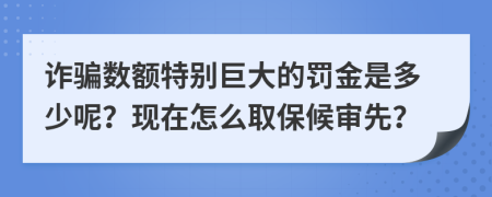 诈骗数额特别巨大的罚金是多少呢？现在怎么取保候审先？