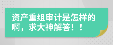 资产重组审计是怎样的啊，求大神解答！！