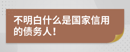 不明白什么是国家信用的债务人！