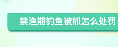 禁渔期钓鱼被抓怎么处罚