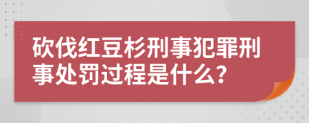 砍伐红豆杉刑事犯罪刑事处罚过程是什么？