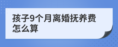 孩子9个月离婚抚养费怎么算