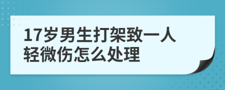 17岁男生打架致一人轻微伤怎么处理